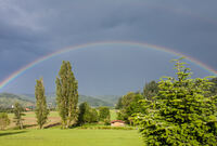 der Regenbogen